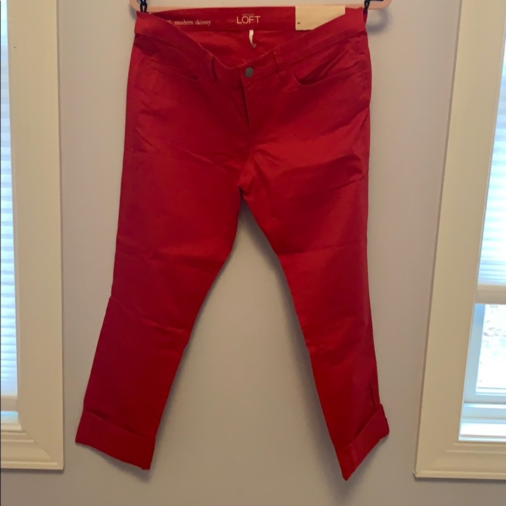 Modern Skinny pants Loft